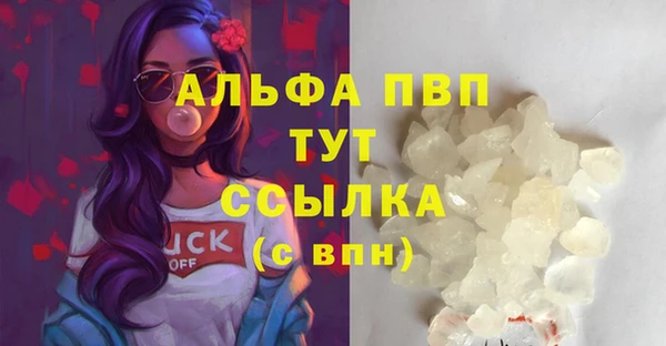 спайс Бородино