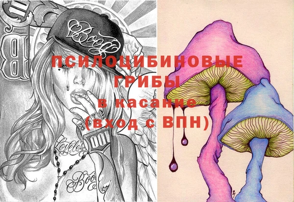 спайс Бородино