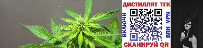 Дистиллят ТГК жижа  Купить  Миллерово 